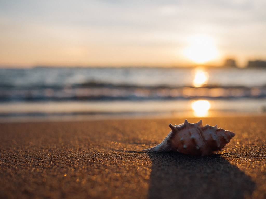 respect the sea respect the sea