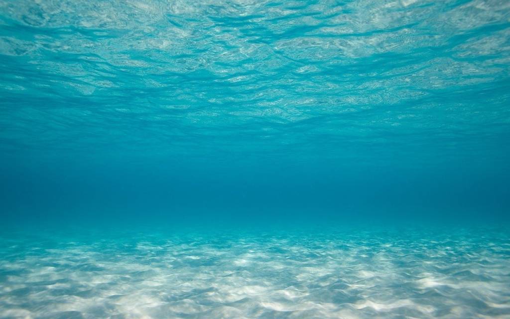 save the seas save the seas