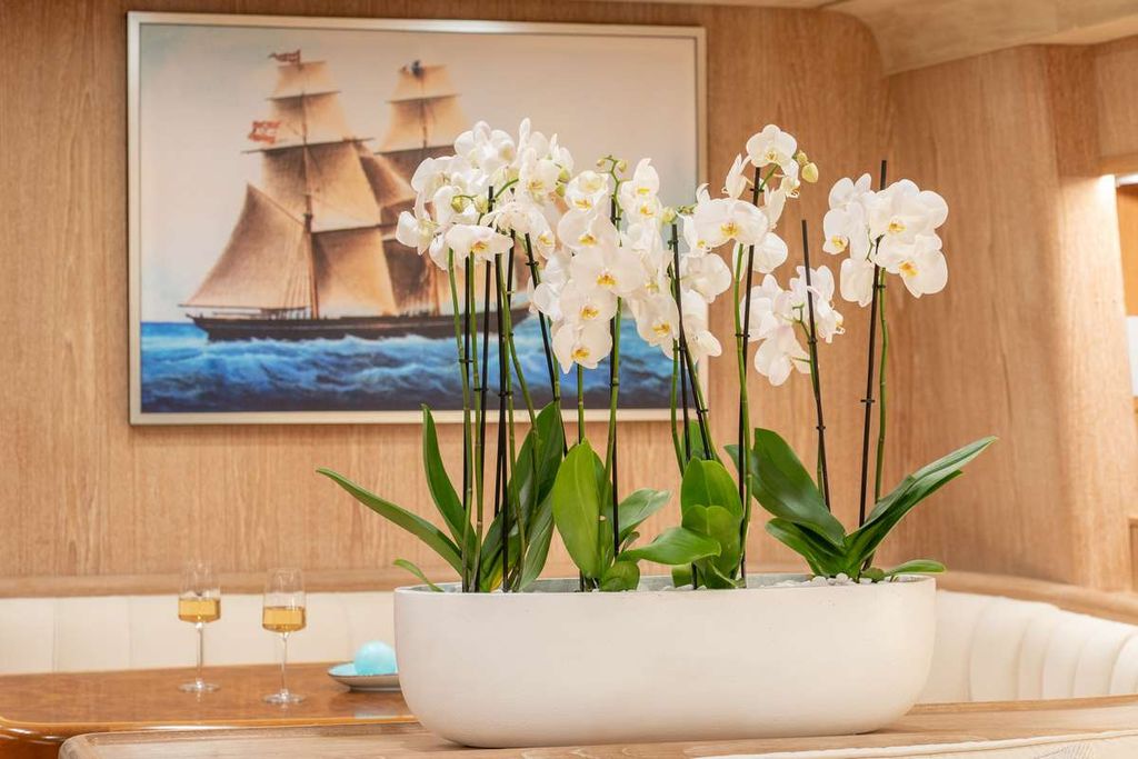 OPERA - Boat Images